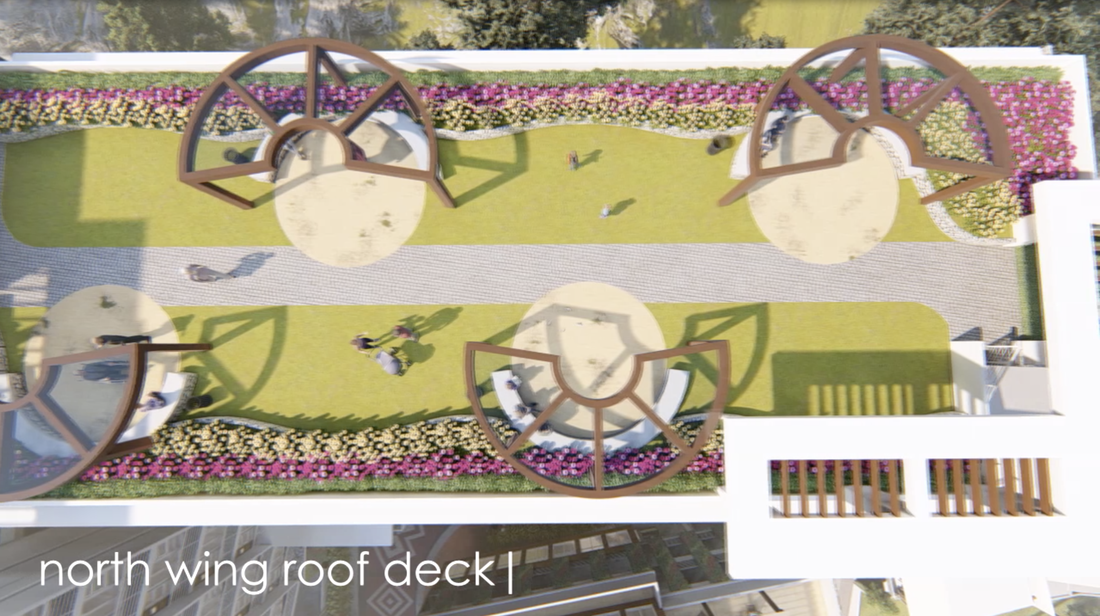 condo roof deck and garden