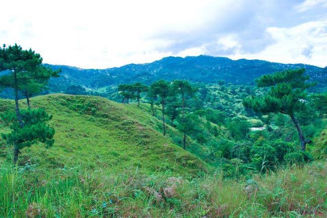house and lot subdivision in Baguio city for sale